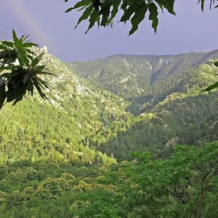 Chalet-bungalow Ombrage *