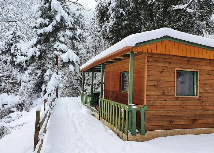 Chalet-bungalow Ombrage Campsite Escaro